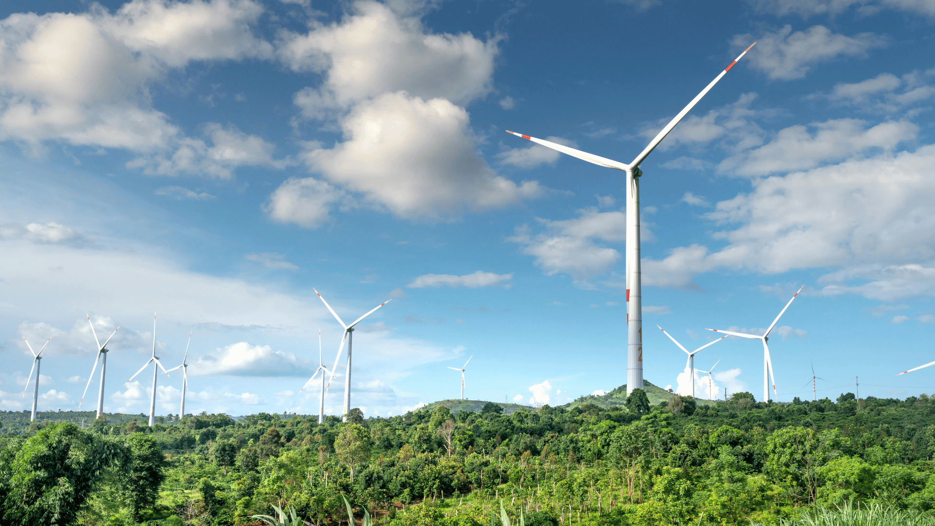 Sustainable Recruiting: Generative AI, Efficiency, and Environmental Impact in HR Processes